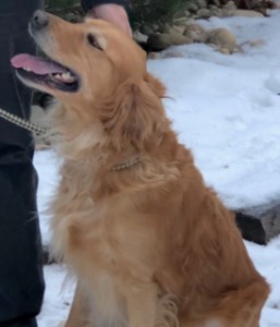 kova