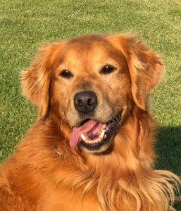 pep