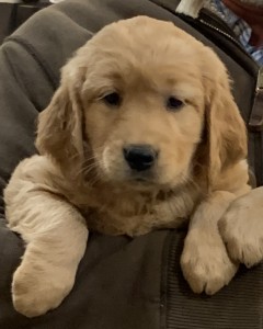 Canyon 2020 – 7weeks 2